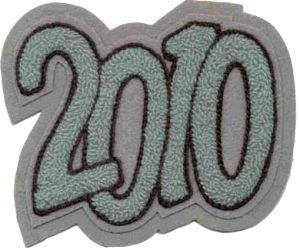 2010 год 2010 год
