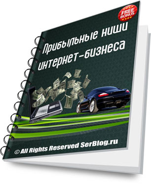 Прибыльные ниши интернет-бизнеса