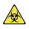 virus